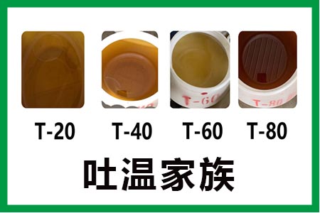 吐溫家族 吐溫家族
